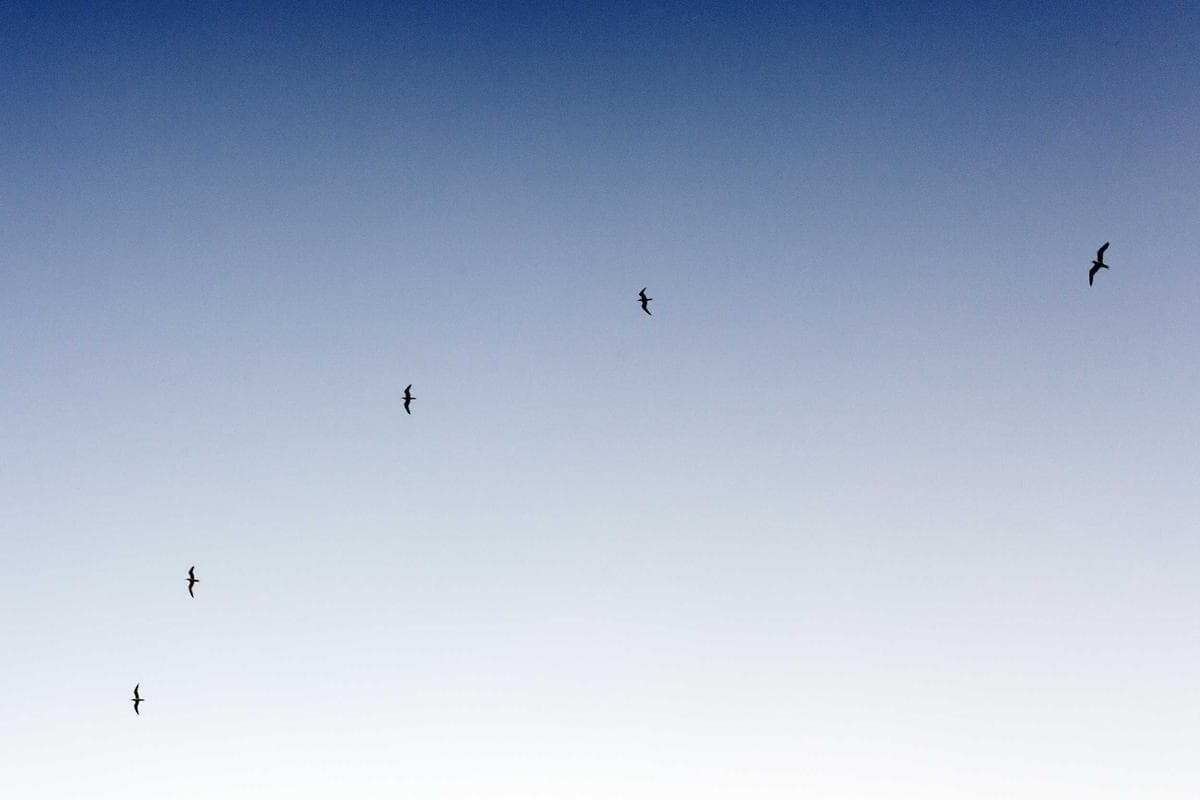 Idées cadeaux qui transforment votre photo en œuvre unique pour un ami
